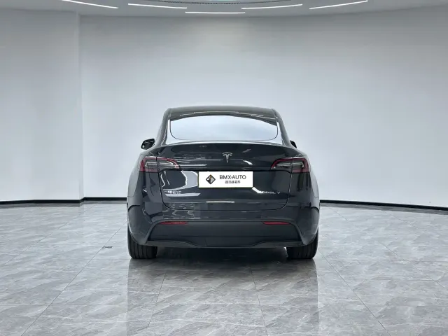 Tesla Model Y — Фото автомобиля 3