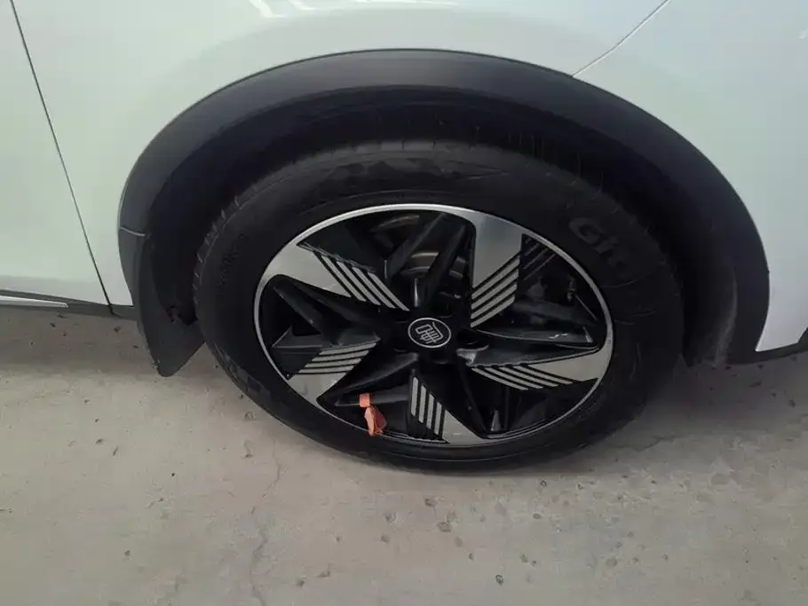 BYD Tang New Energy 2023 Model DM-i Champion Edition 112KM Honor — Фото автомобиля 6
