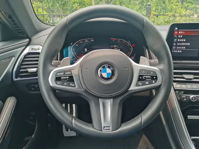 BMW 8 Series — Фото автомобиля 19