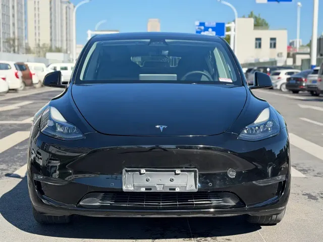 Tesla Model Y — Фото автомобиля 2