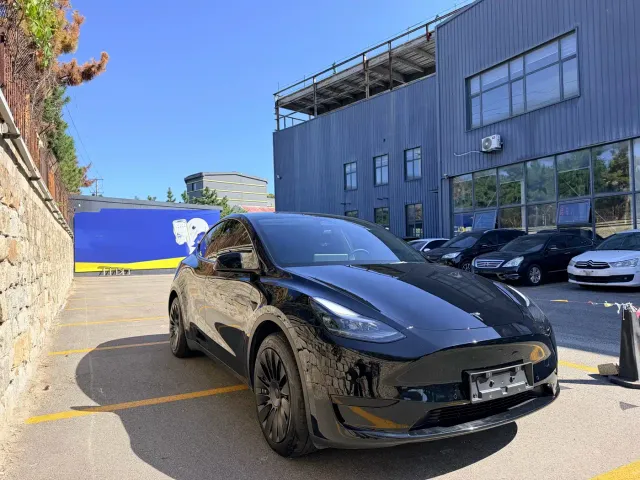 Tesla Model Y — Фото автомобиля 3
