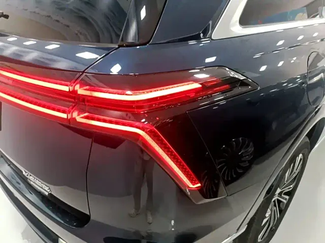 Wey Lanshan — Фото автомобиля 7