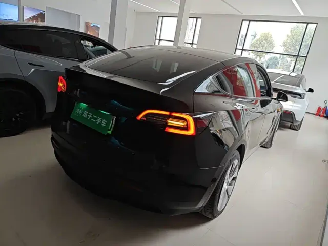 Tesla Model Y — Фото автомобиля 6
