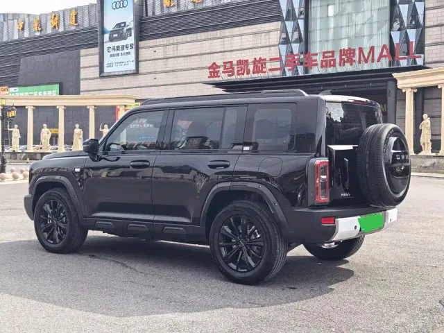 Haval Raptor — Фото автомобиля 19