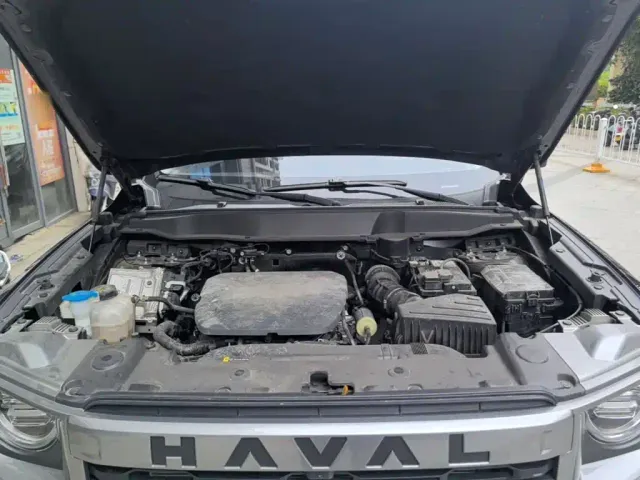 Haval Big Dog — Фото автомобиля 19