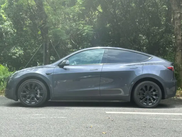 Tesla Model Y — Фото автомобиля 2