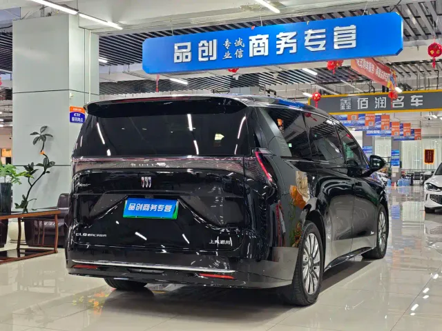 Buick Zhijing Shijia — Фото автомобиля 9