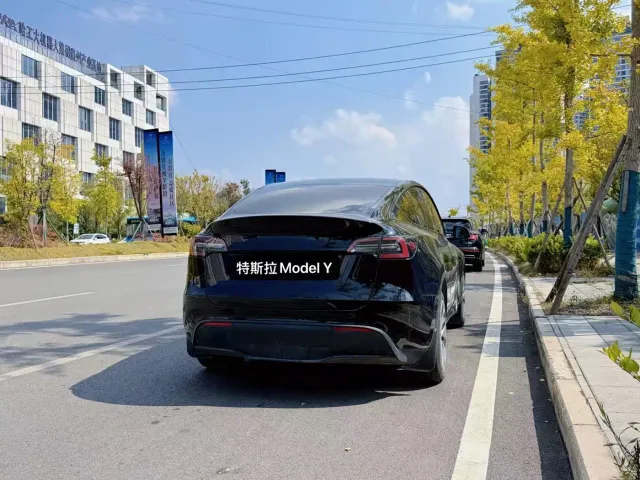 Tesla Model Y — Фото автомобиля 9