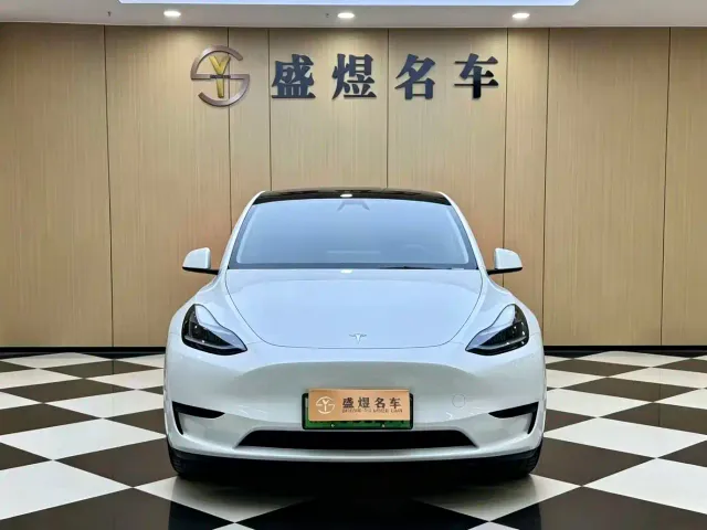 Tesla Model Y — Фото автомобиля 3