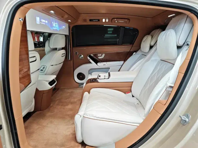 Zunjie Zunjie S800 2025 Model Extended Range Starlight Executive Edition 4-seater — Фото автомобиля 10