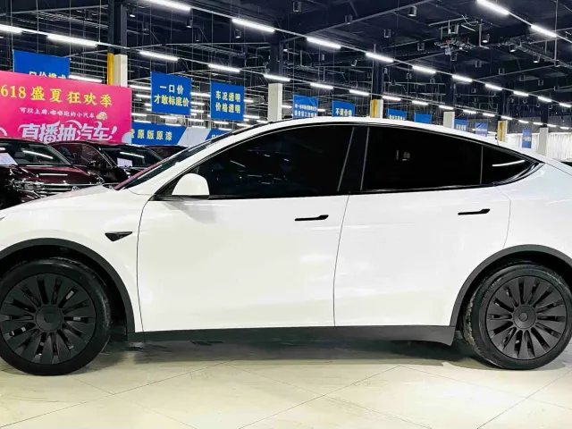 Tesla Model Y — Фото автомобиля 4