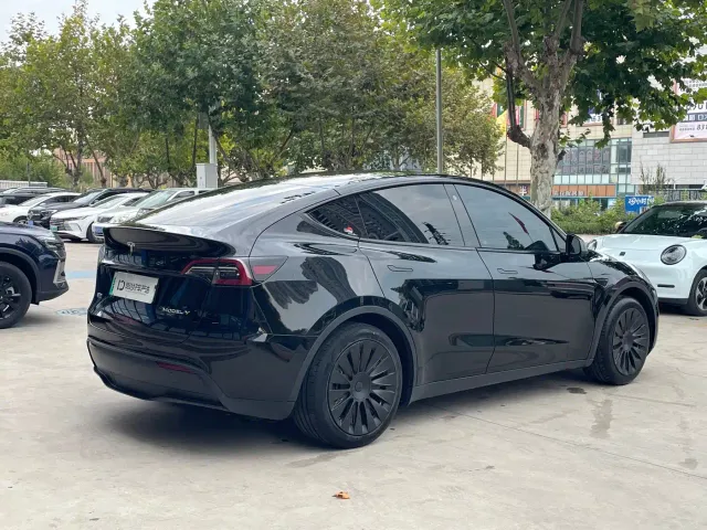 Tesla Model Y — Фото автомобиля 7
