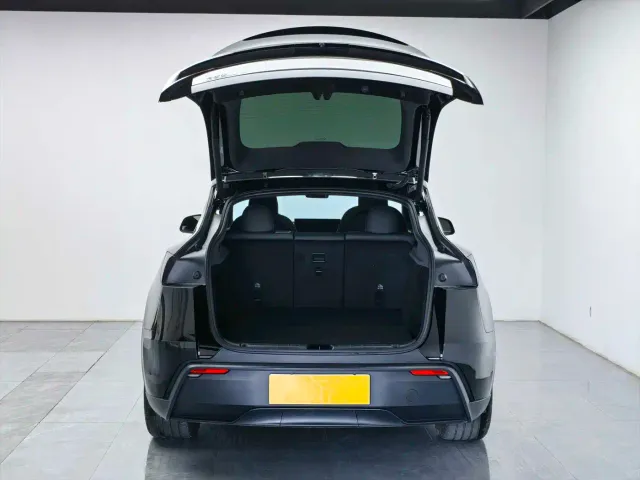 Tesla Model Y — Фото автомобиля 9