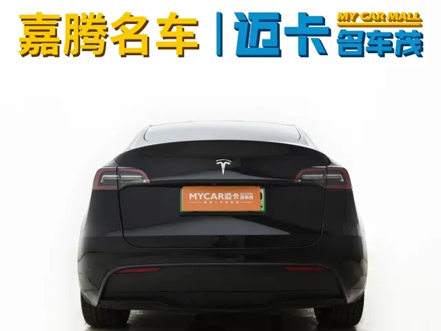 Tesla Model Y — Фото автомобиля 10