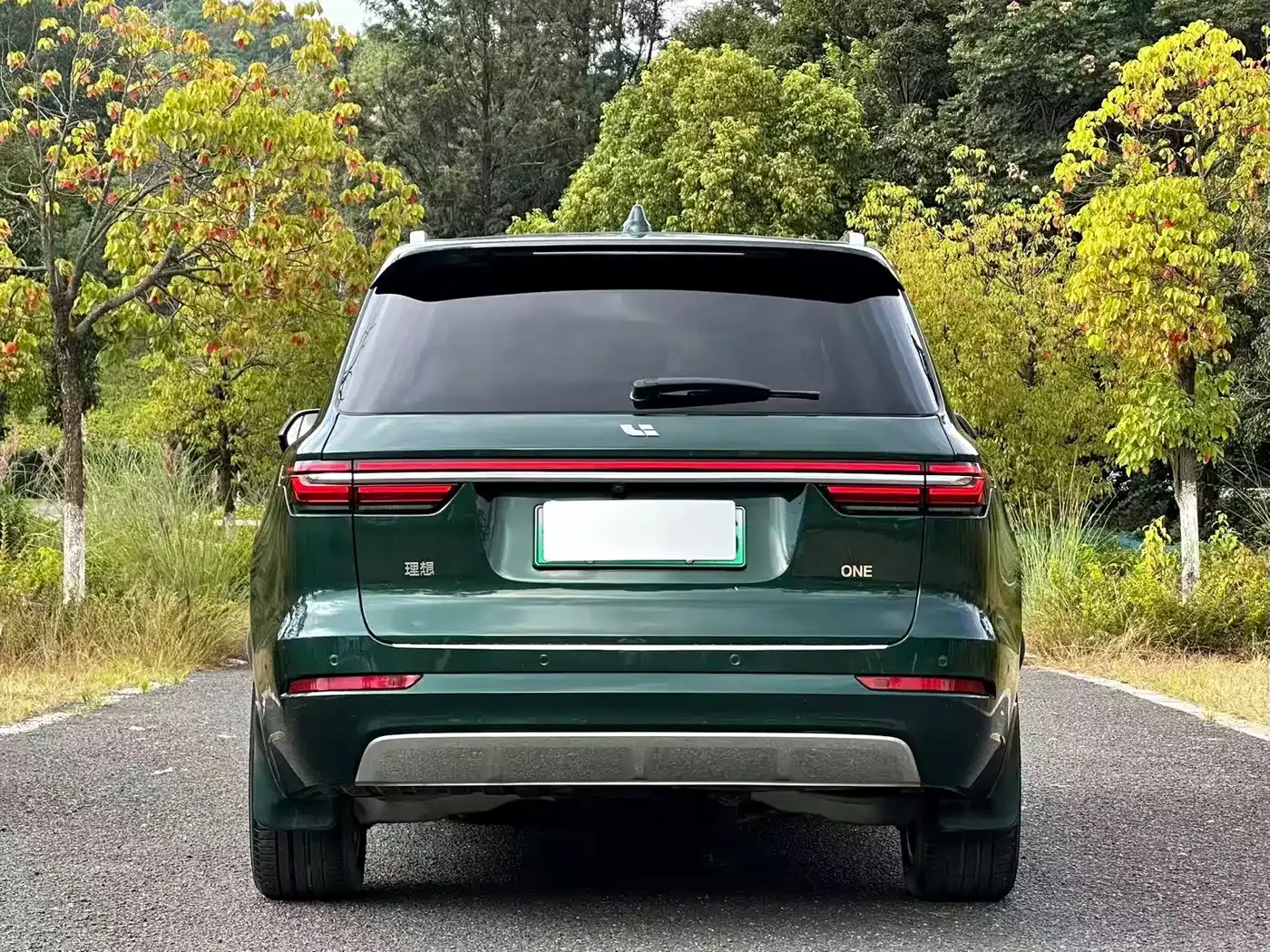Li Auto Li ONE 2021 Extended Range 6-Seater — Фото автомобиля 5
