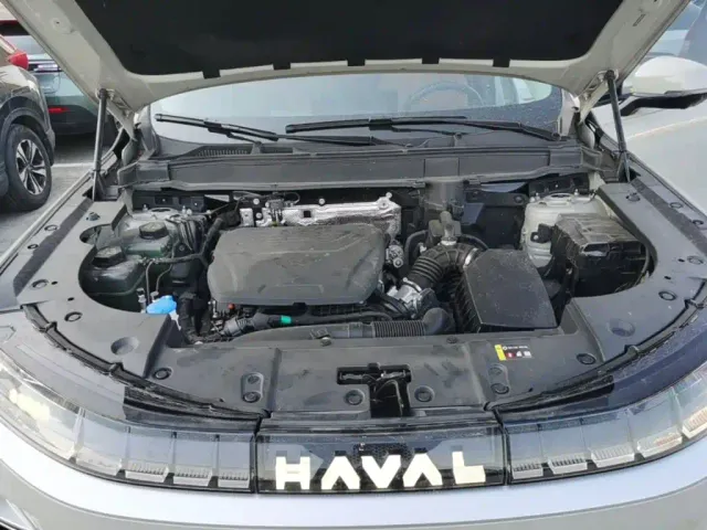 Haval Xiaolong MAX — Фото автомобиля 19