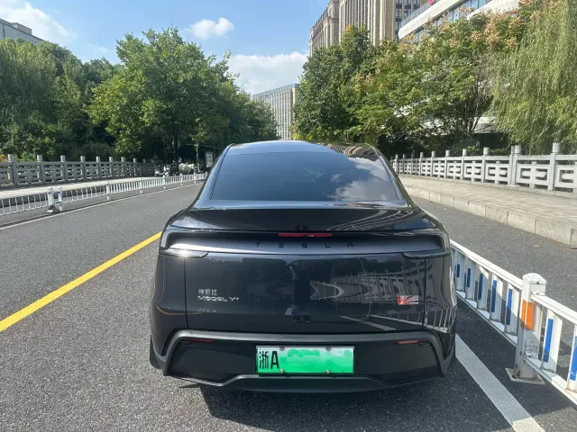 Tesla Model Y — Фото автомобиля 4