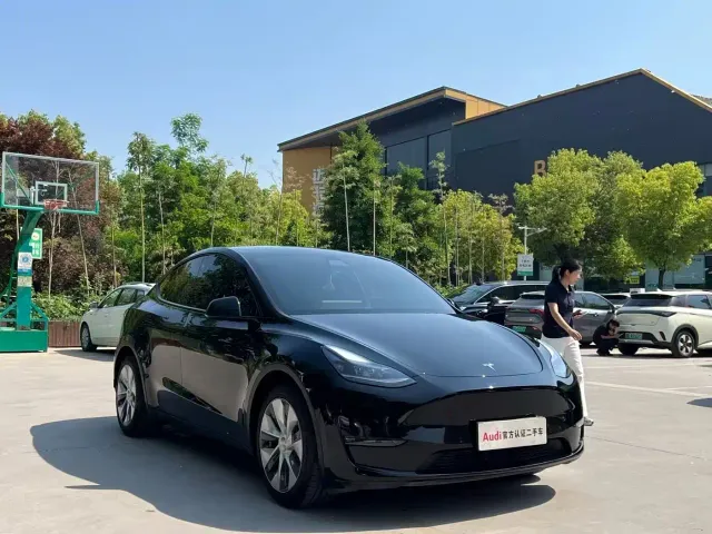 Tesla Model Y — Фото автомобиля 3