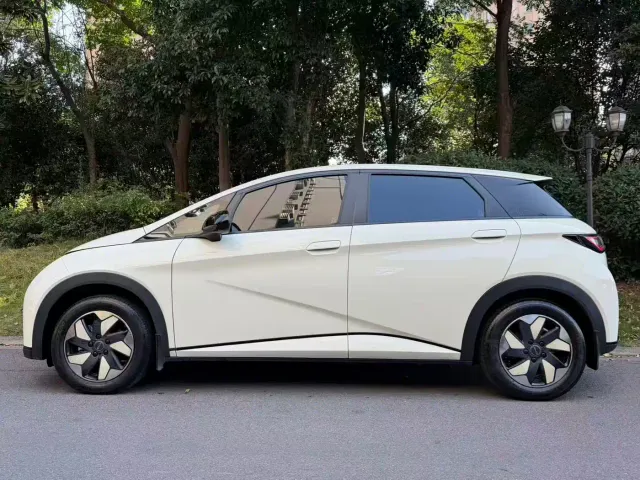 BYD Dolphin — Фото автомобиля 6