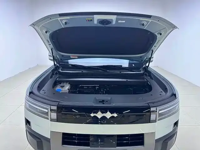 BYD FangChengBao Titanium 7 — Фото автомобиля 14