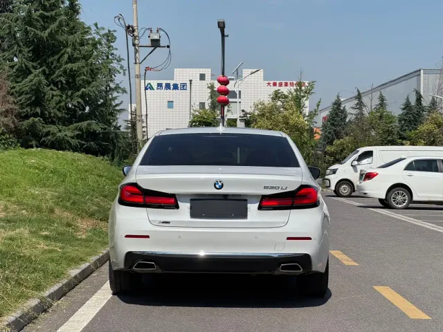 BMW 5 Series — Фото автомобиля 15