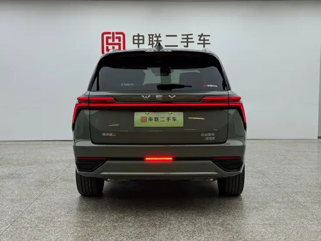 Wey Lanshan — Фото автомобиля 4