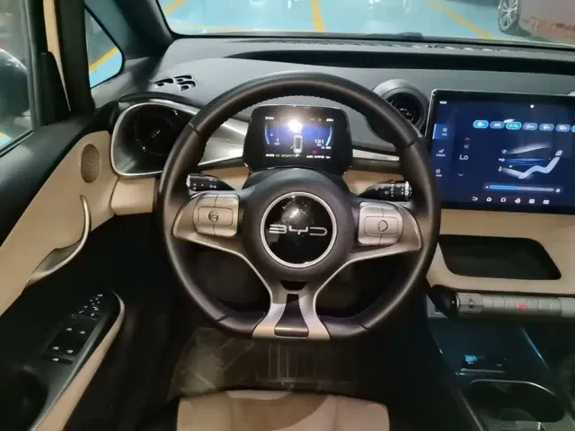 BYD Dolphin — Фото автомобиля 6