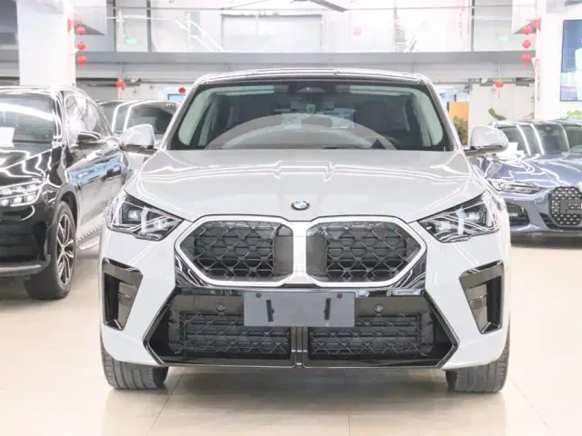 BMW X2 — Фото автомобиля 2