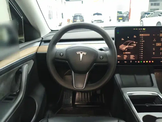 Tesla Model Y — Фото автомобиля 10
