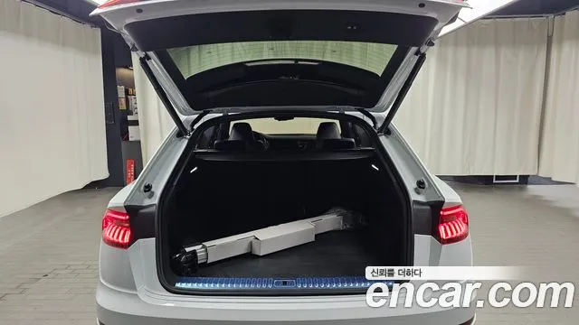 Audi Q8 55 TFSI quattro Premium — Фото автомобиля 19
