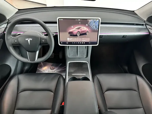Tesla Model Y — Фото автомобиля 19