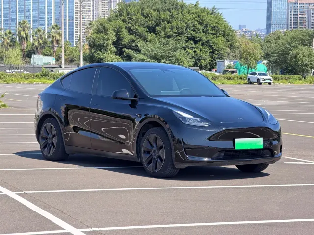 Tesla Model Y — Фото автомобиля 3
