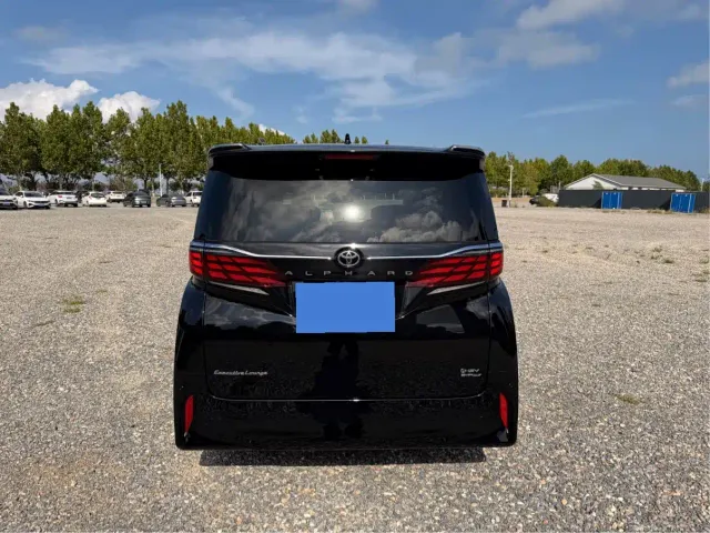 Toyota Alphard — Фото автомобиля 11