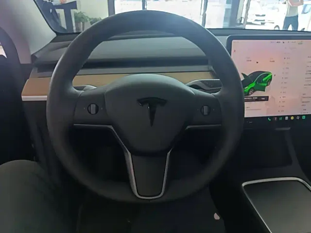 Tesla Model Y — Фото автомобиля 10