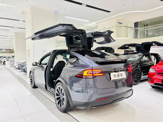 Tesla Model X 2023 Dual Motor All-Wheel Drive Edition — Фото автомобиля 3
