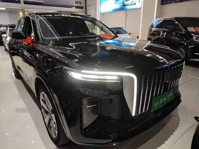 Hongqi E-HS9 — Фото автомобиля 3