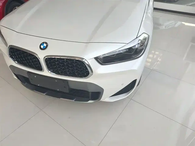 BMW X2 — Фото автомобиля 23