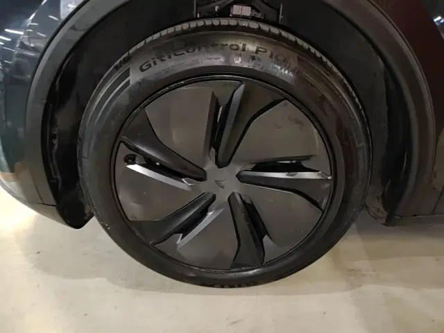 Tesla Model Y — Фото автомобиля 22