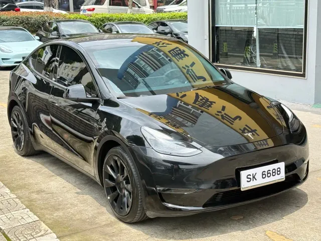 Tesla Model Y — Фото автомобиля 3