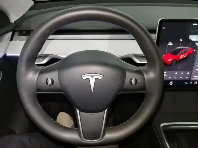 Tesla Model Y — Фото автомобиля 10