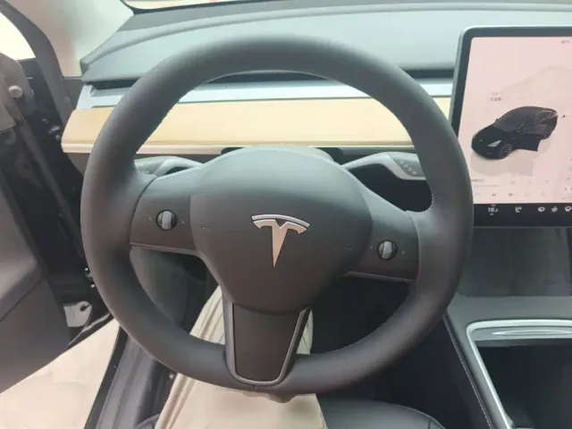 Tesla Model Y — Фото автомобиля 10