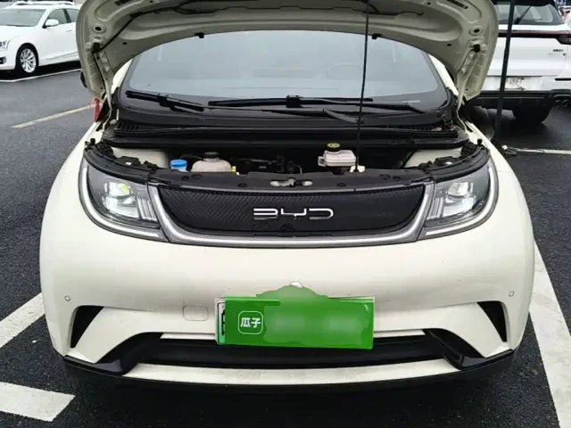BYD Dolphin — Фото автомобиля 19