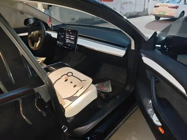 Tesla Model 3 — Фото автомобиля 16