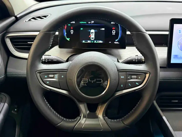 BYD Hai Bao 05 DM-i 2025 DM-i Smart Drive Edition 55KM Luxury — Фото автомобиля 6