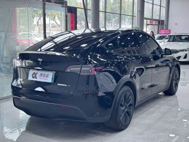 Tesla Model Y — Фото автомобиля 4