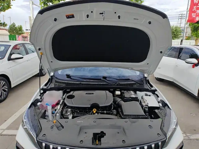 Geely Binrui — Фото автомобиля 19
