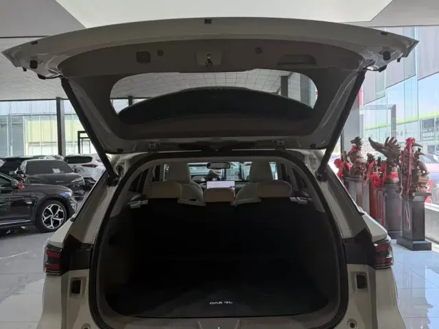 Haval Xiaolong MAX — Фото автомобиля 12