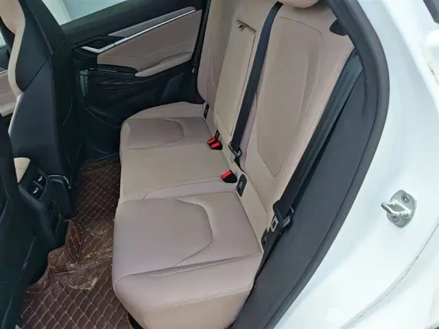 JAC Motors JAC QX PHEV — Фото автомобиля 16