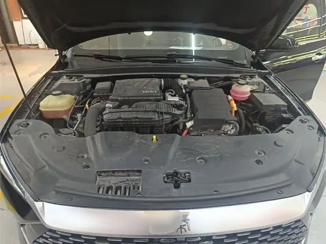 BYD Qin PLUS — Фото автомобиля 18