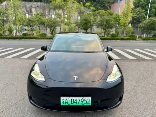 Tesla Model Y — Фото автомобиля 2